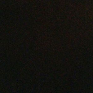 Meet your Posher, Faithful